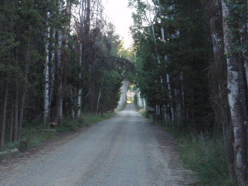 ahead is the beginning of the famous 'Aspen Alley'.